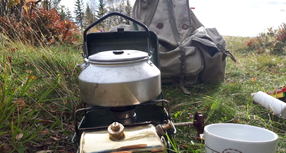 Nesten som gamle dager&nbsp;<span>(+)</span>