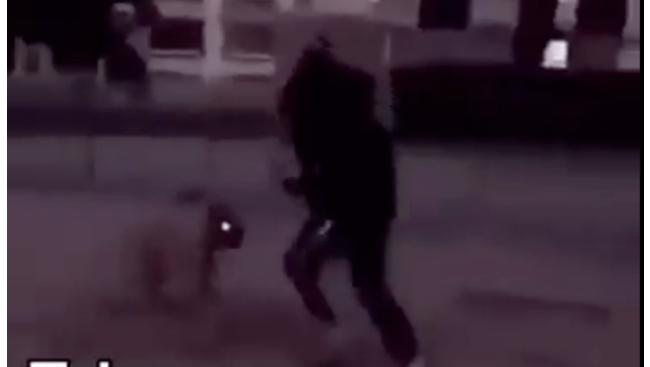 Torturerer hund og legger det ut på nett&nbsp;<span>(+)</span>