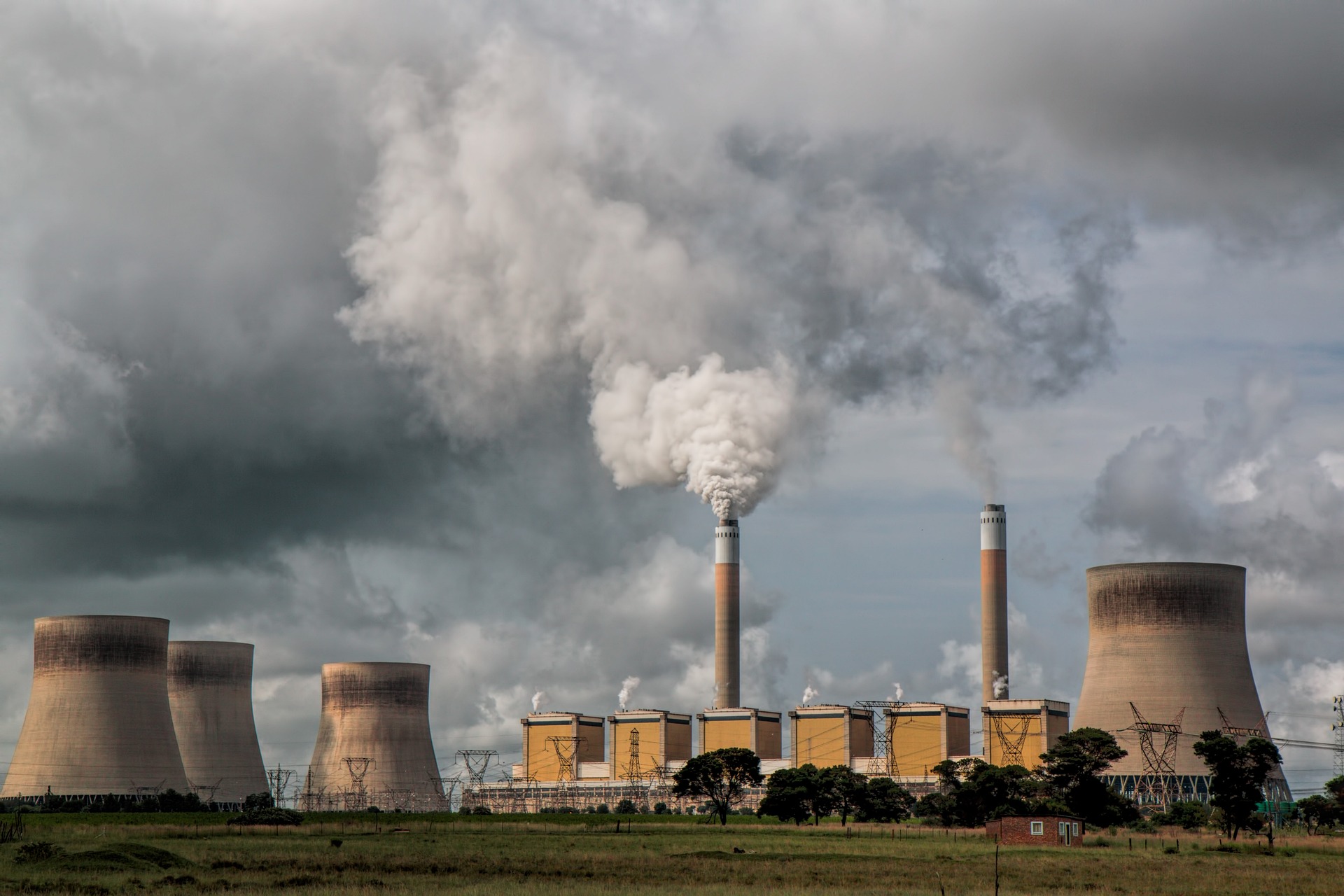Danske forskere med løsning på klimakrisen: CO2 kan forandres til mat&nbsp;<span>(+)</span>