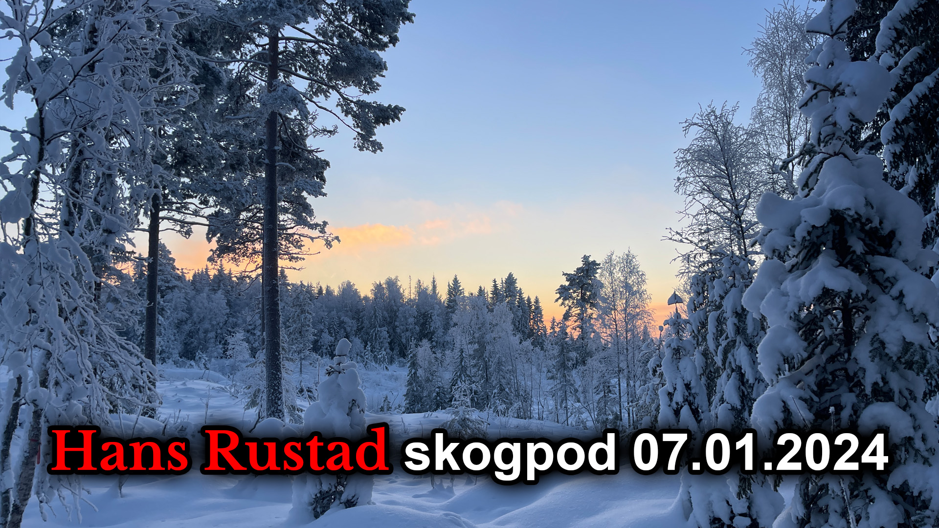 Skogpod 7. januar 2024&nbsp;<span>(+)</span>