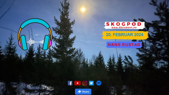 Skogpod 20. februar 2024&nbsp;<span>(+)</span>