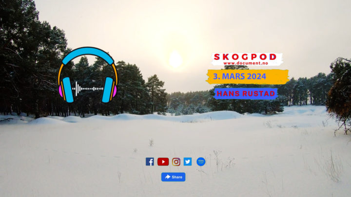 Skogpod 3. mars 2024&nbsp;<span>(+)</span>