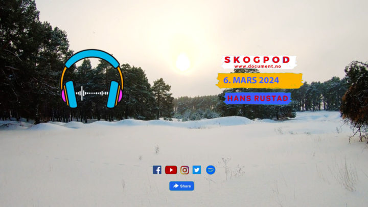 Skogpod 6. mars 2024&nbsp;<span>(+)</span>