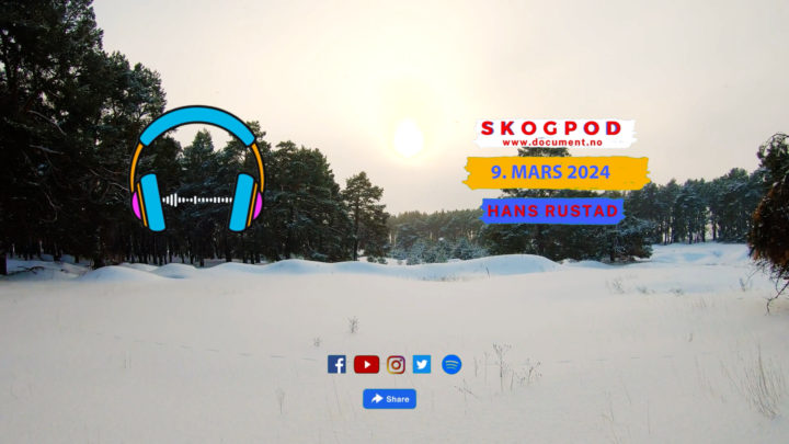 Skogpod 9. mars 2024&nbsp;<span>(+)</span>