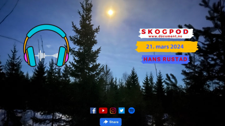 Skogpod 21. mars 2024&nbsp;<span>(+)</span>