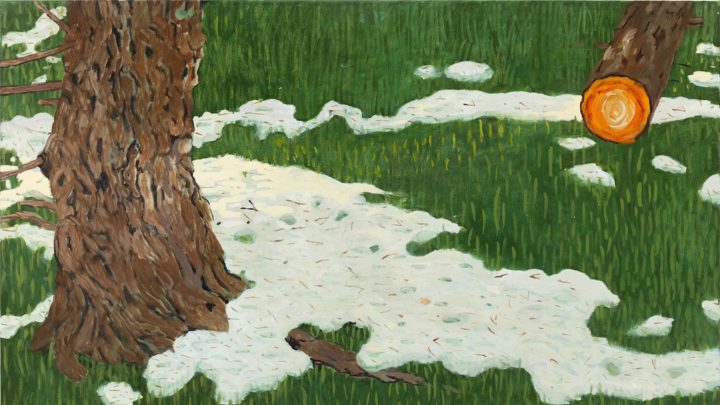 En natur­tilstand fylt av indre uro&nbsp;<span>(+)</span>
