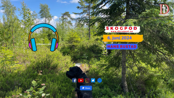 Skogpod 6. juni 2024&nbsp;<span>(+)</span>