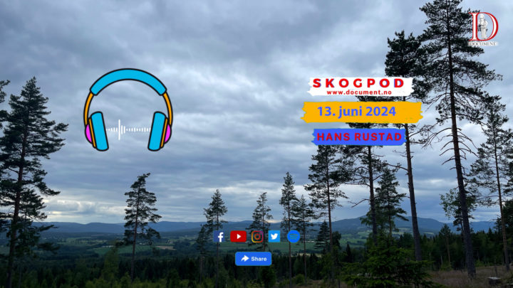 Skogpod 13. juni 2024&nbsp;<span>(+)</span>