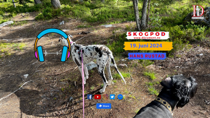 Skogpod 19. juni 2024&nbsp;<span>(+)</span>