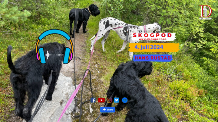 Skogpod 4. juli 2024&nbsp;<span>(+)</span>
