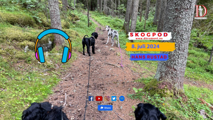 Skogpod 8. juli 2024&nbsp;<span>(+)</span>