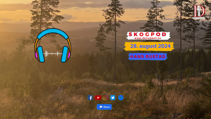 Skogpod 28. august 2024