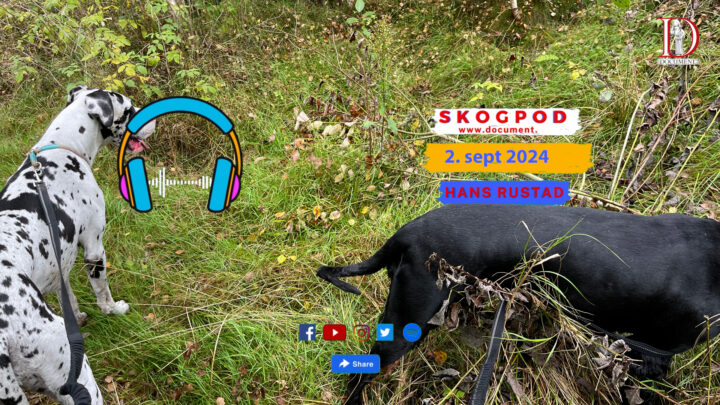 Skogpod 2. september 2024