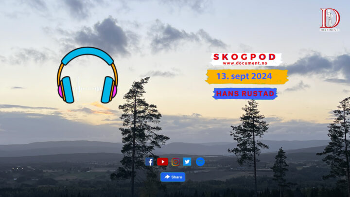 Skogpod 13. september 2024