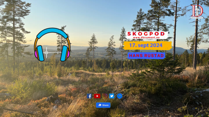 Skogpod 17. september 2024