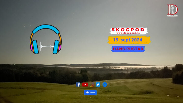 Skogpod 19. september 2024