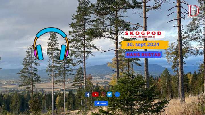 Skogpod 30. september 2024