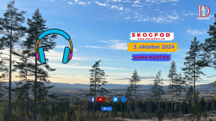 Skogpod 3. oktober 2024