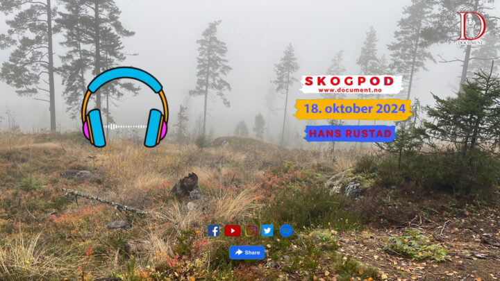 Skogpod 18. oktober 2024