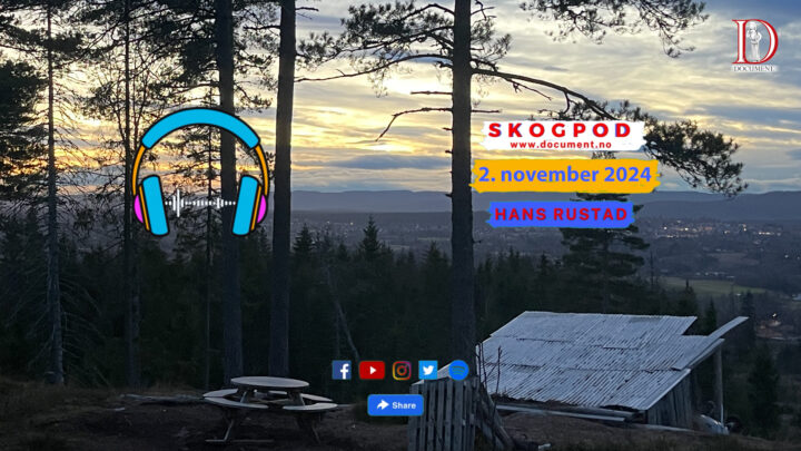 Skogpod   2. november 2024