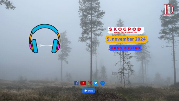 Skogpod   5. november 2024