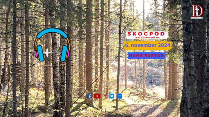 Skogpod   6. november 2024