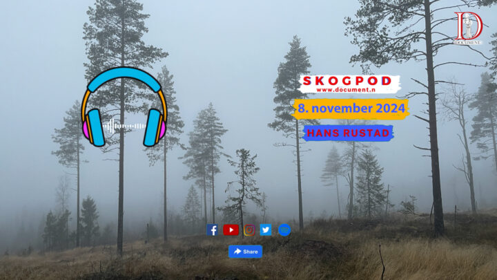 Skogpod   8. november 2024