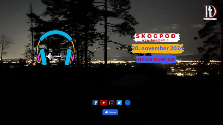 Skogpod  20. november 2024