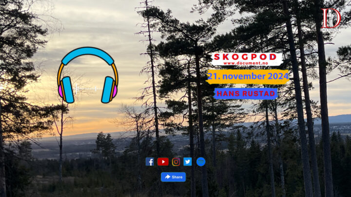 Skogpod  21. november 2024