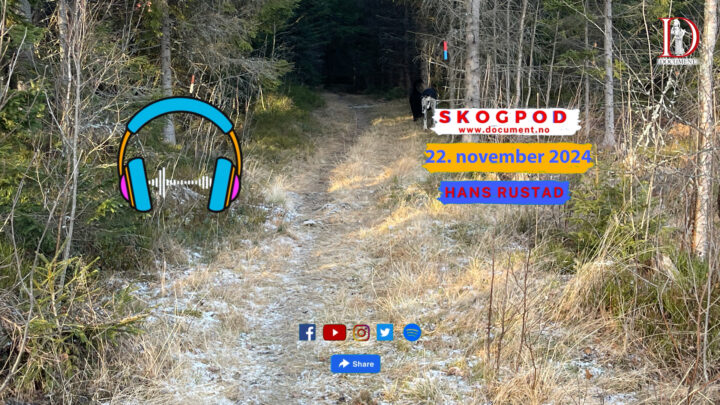 Skogpod  22. november 2024