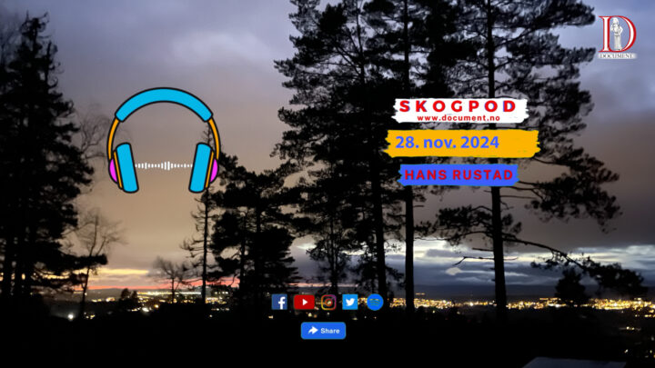 Skogpod  28. november 2024