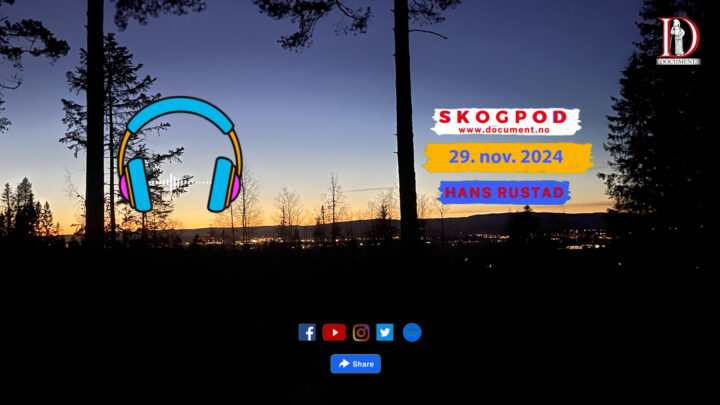 Skogpod  29. november 2024