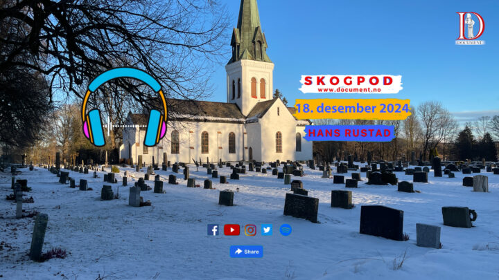 Skogpod 18. desember 2024