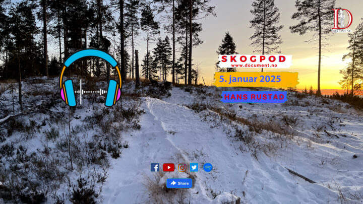 Skogpod 5. januar 2025