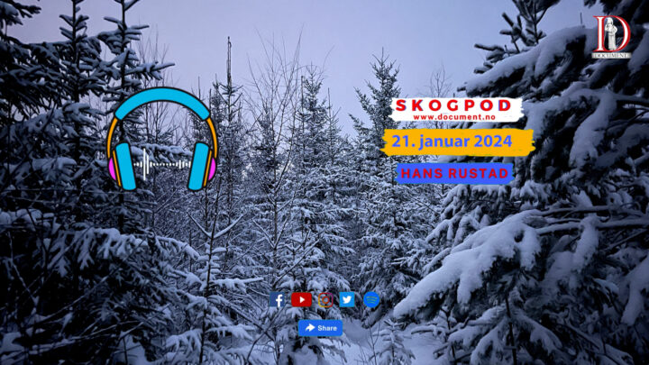 Skogpod 21. januar 2025