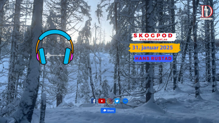Skogpod 31. januar 2025