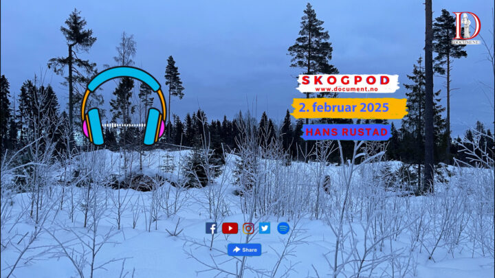 Skogpod  2. februar 2025