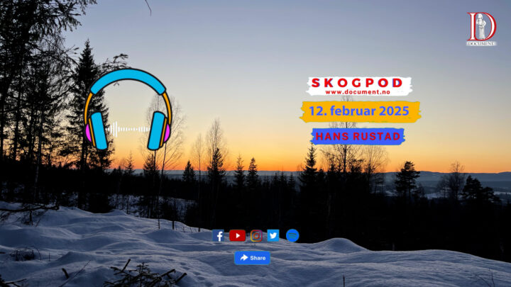 Skogpod  12. februar 2025