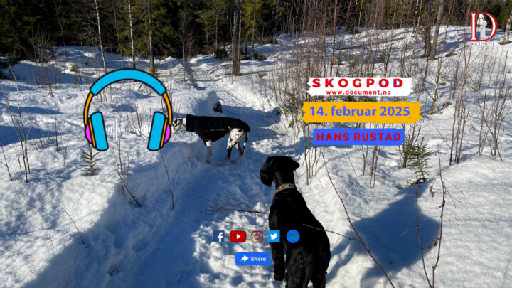 Skogpod  14. februar 2025