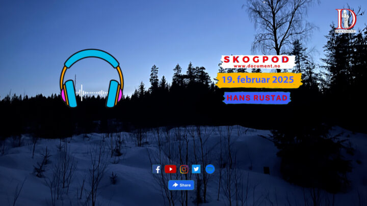 Skogpod  19. februar 2025