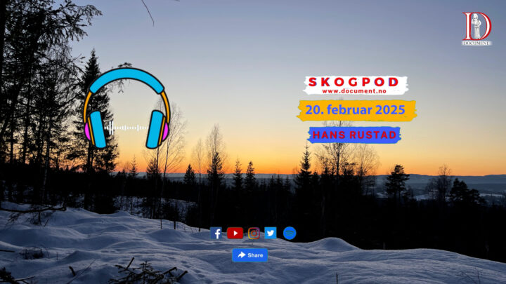 Skogpod  20. februar 2025