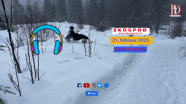 Skogpod  21. februar 2025