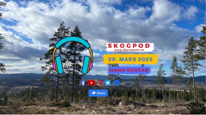 Skogpod 29. mars 2025