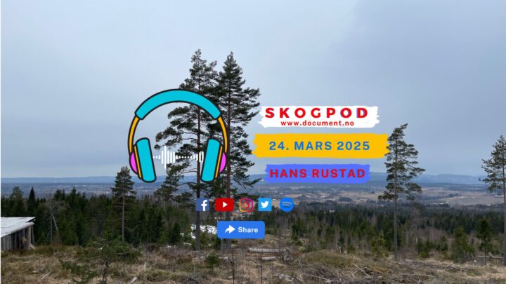 Skogpod 24. mars 2025