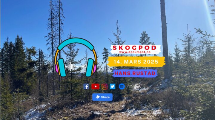 Skogpod 14. mars 2025