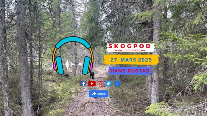 Skogpod 27. mars 2025