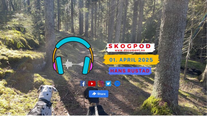 Skogpod 1. april 2025