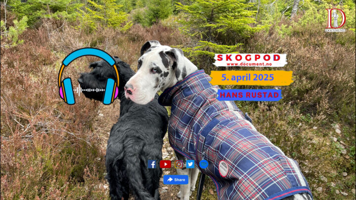 Skogpod 5. april 2025