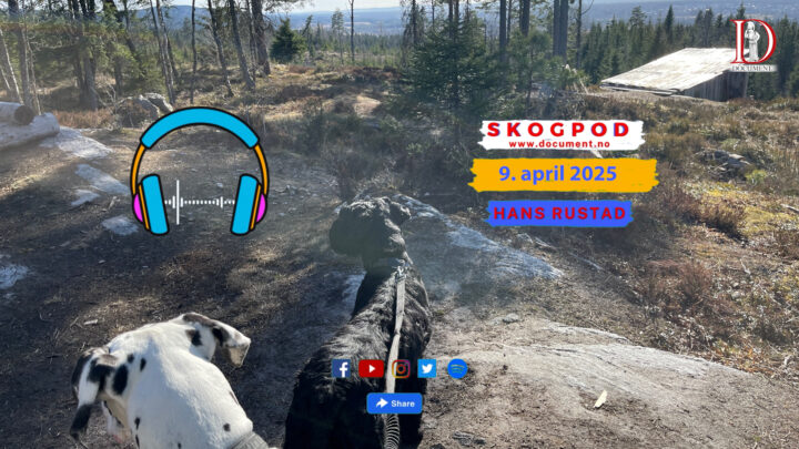 Skogpod 9. april 2025