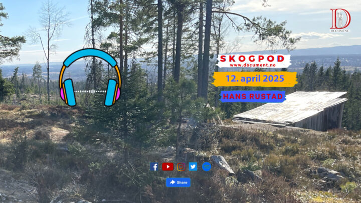 Skogpod 12. april 2025
